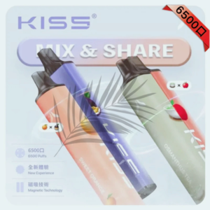 Kiss 鎧斯 拋棄式6500口|Kis5 磁吸式一次性電子煙|可充電+磁吸雙口味
